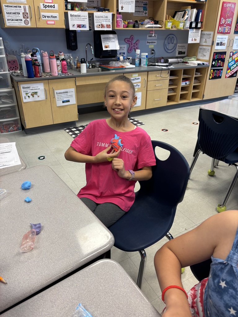 Circulatory System lesson in 5th grade