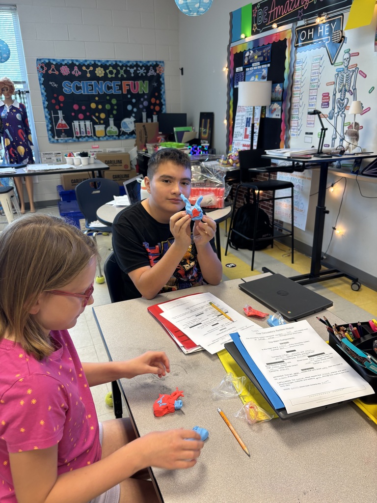 Circulatory System lesson in 5th grade