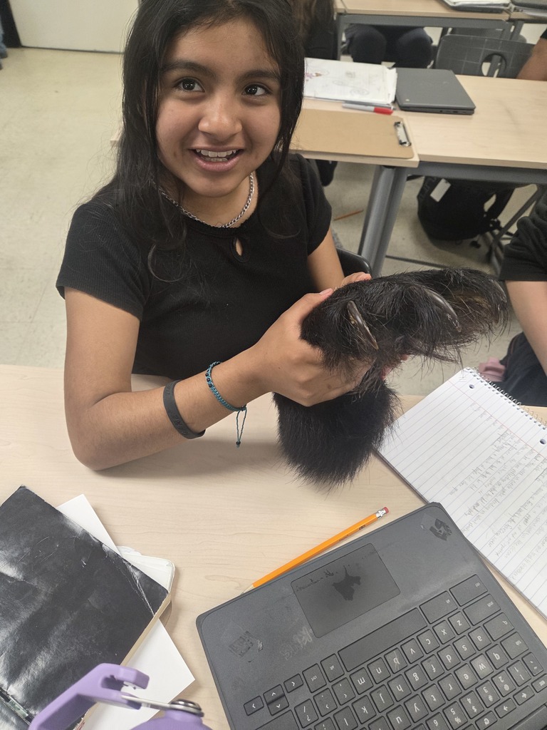 Students explored a sensory experience using real bear paws and claws.