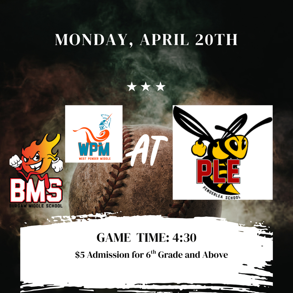 baseball game flyer
