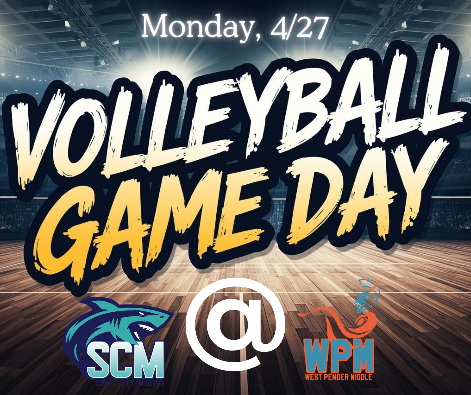 Home volleyball game