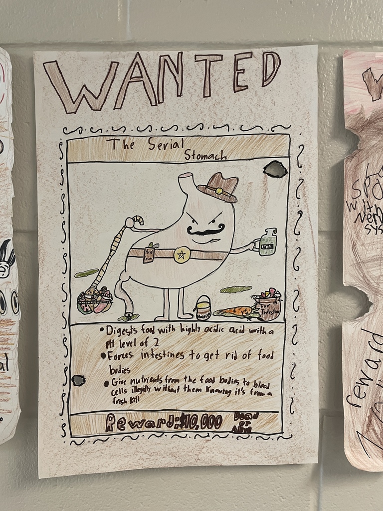 student work hanging in the hallway