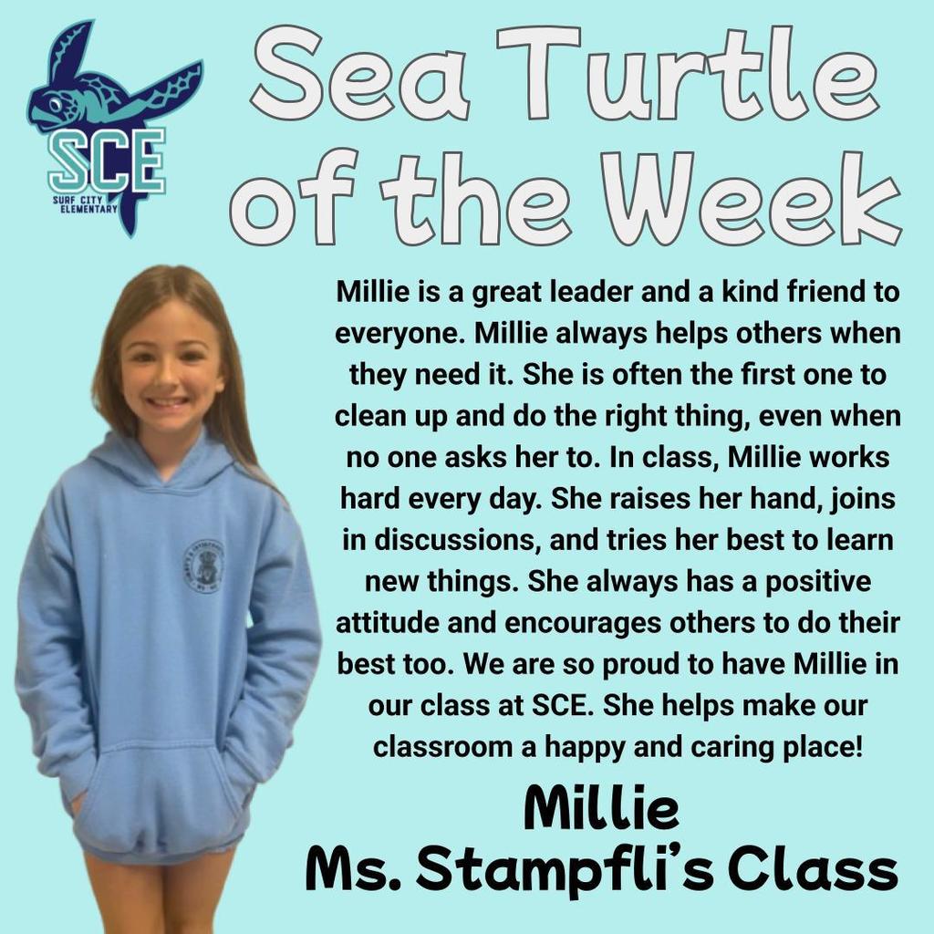 sea turtle of the week announcement
