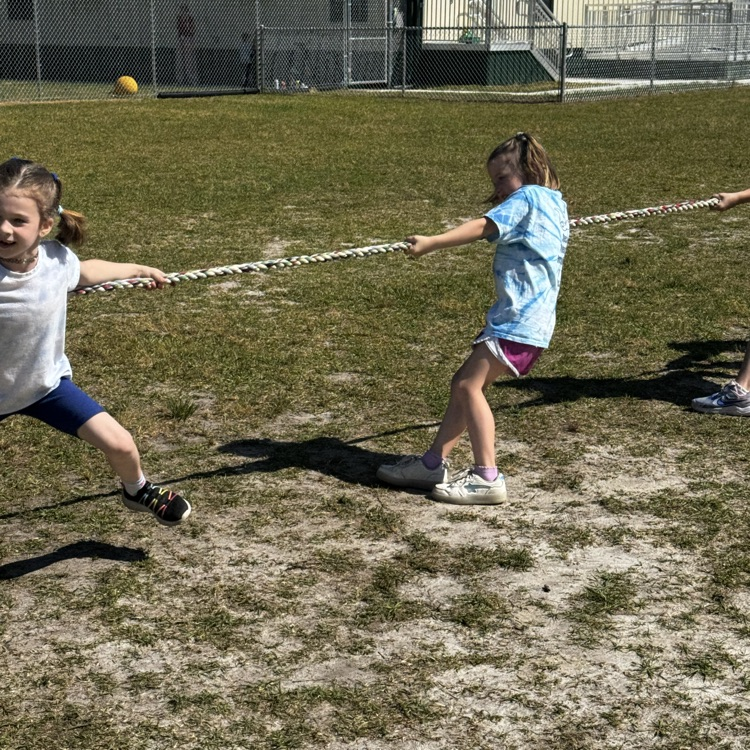 field day