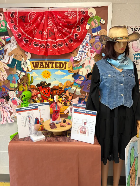 students at showcase night