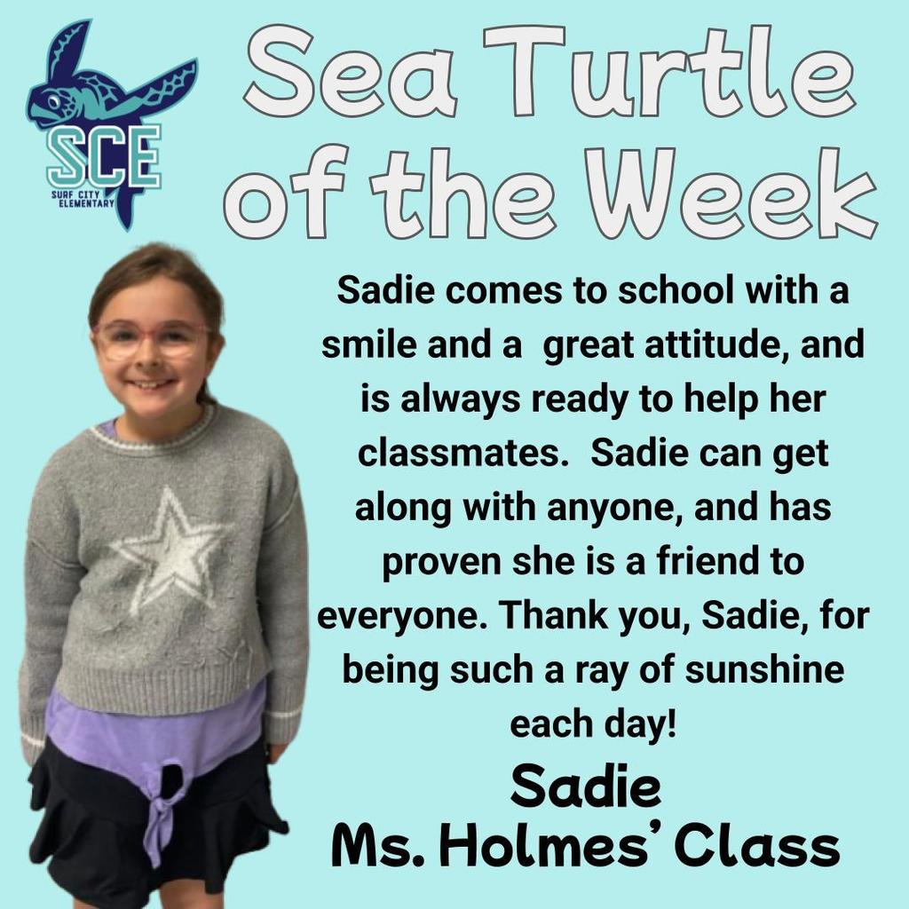 sea turtle of the week announcement