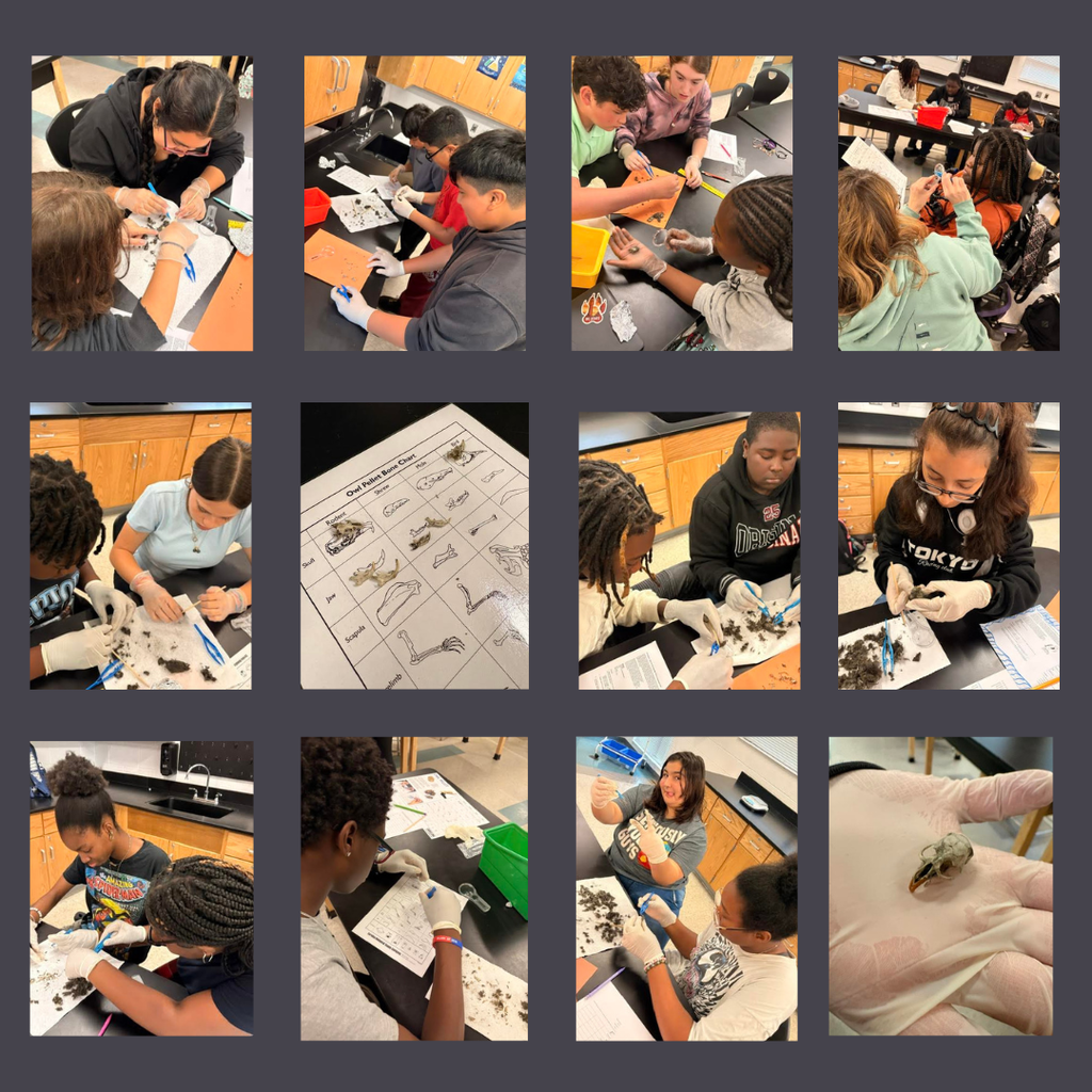 science dissection
