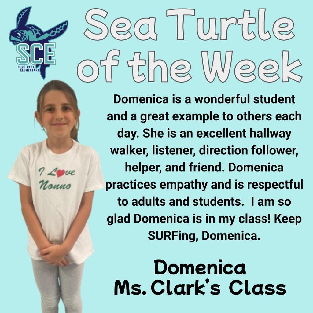 sea turtle of the week announcement