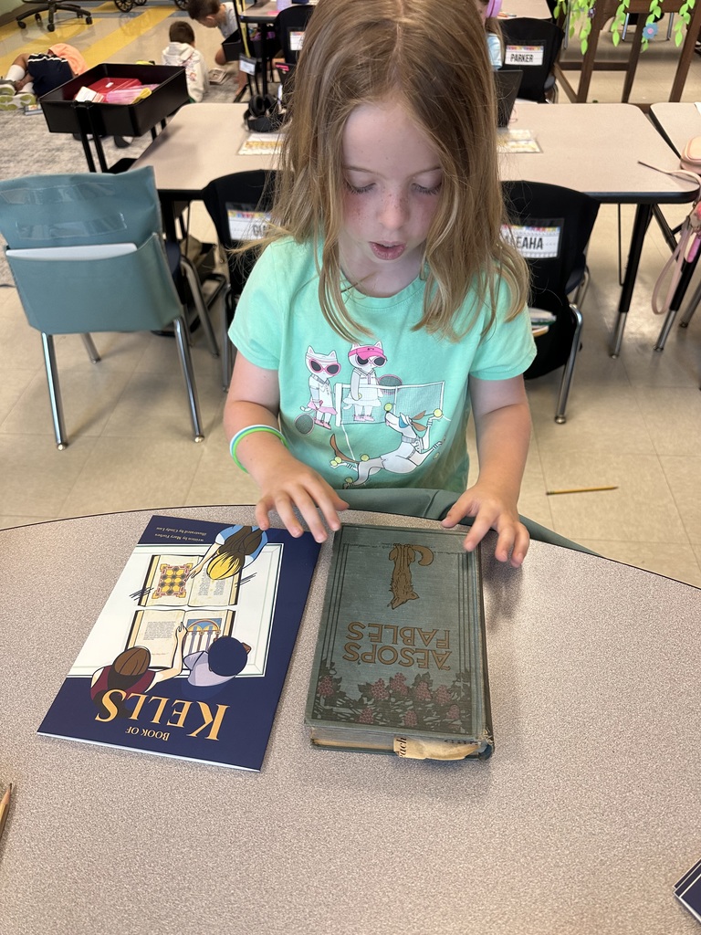1st graders comparing books
