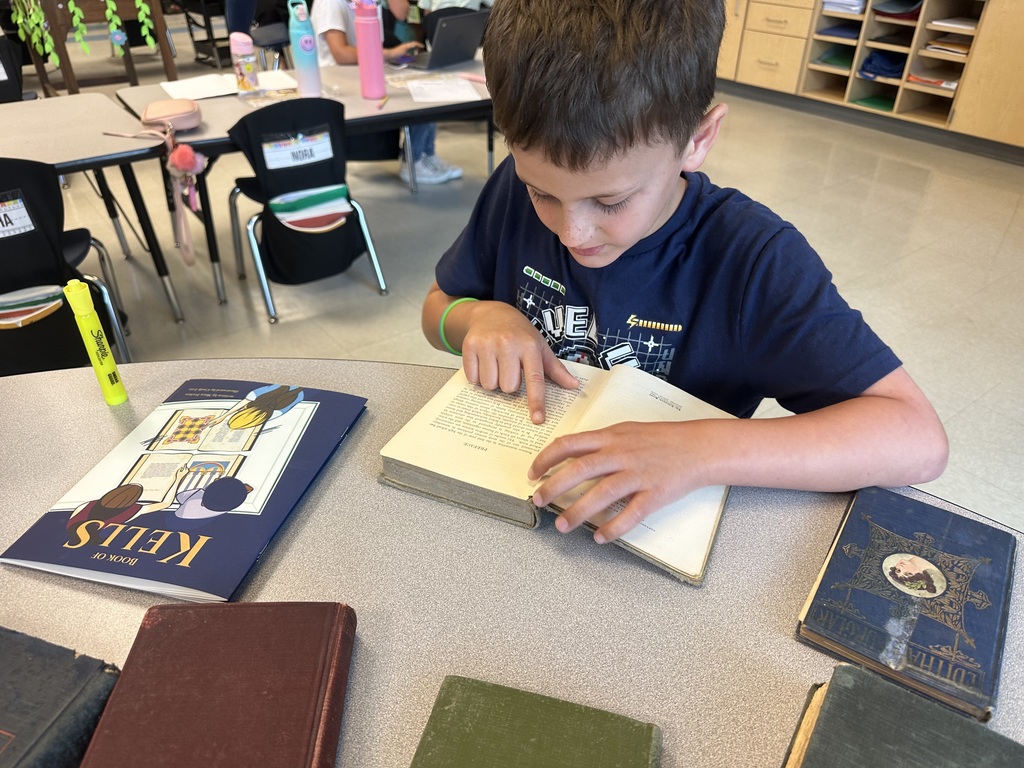 1st graders comparing books