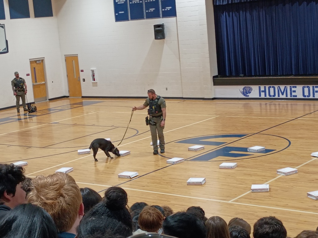 K-9 Demonstration 