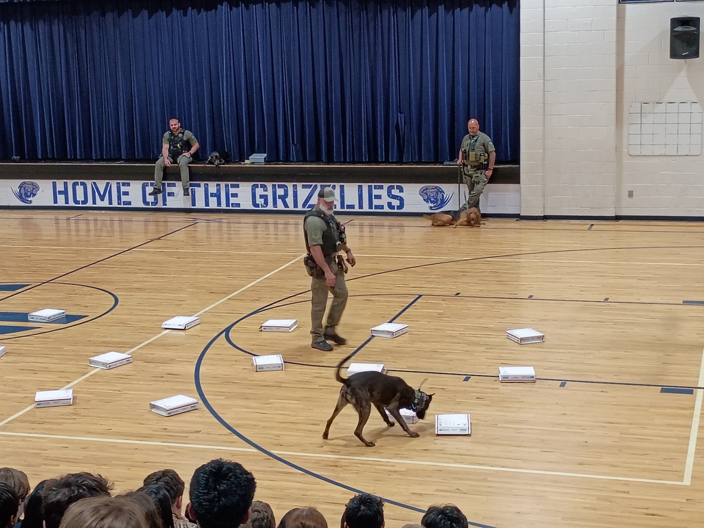 K-9 Demonstration