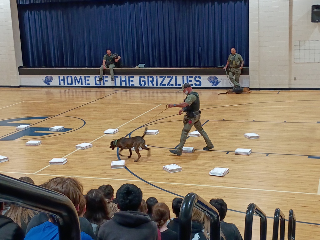 K-9 Demonstration