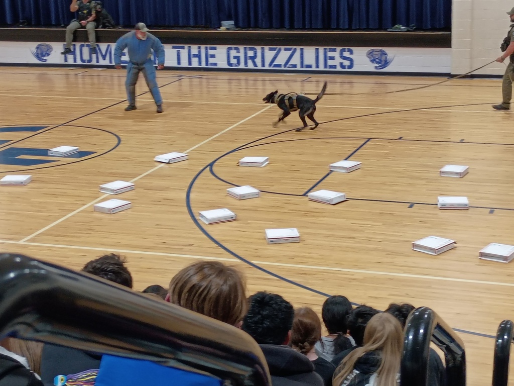 K-9 Demonstration