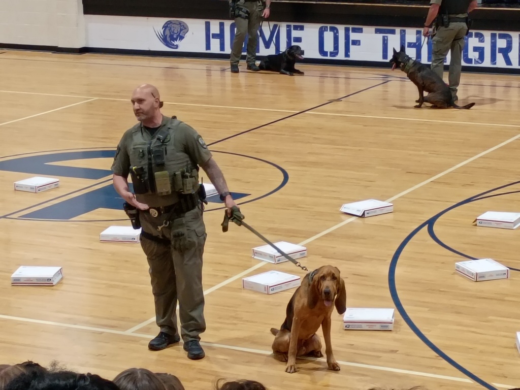 K-9 Demonstration