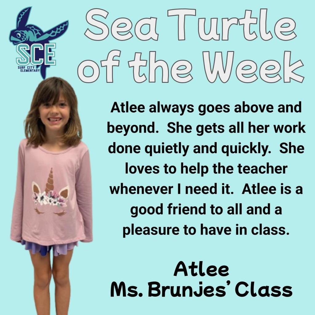 sea turtle of the week announcement