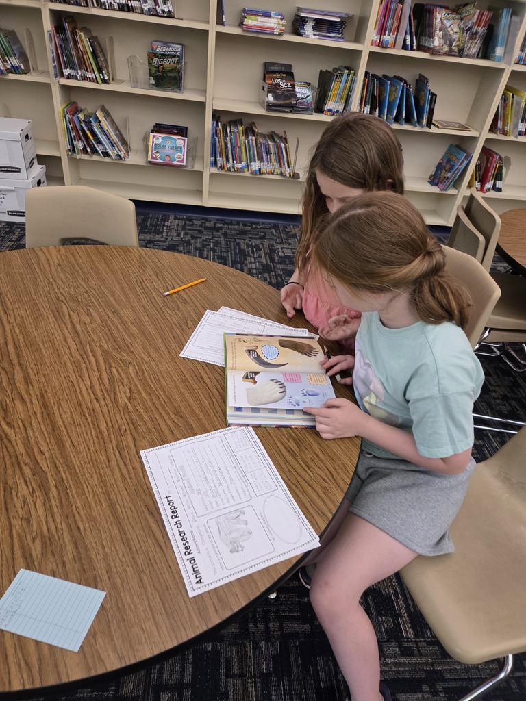 2nd grade projects