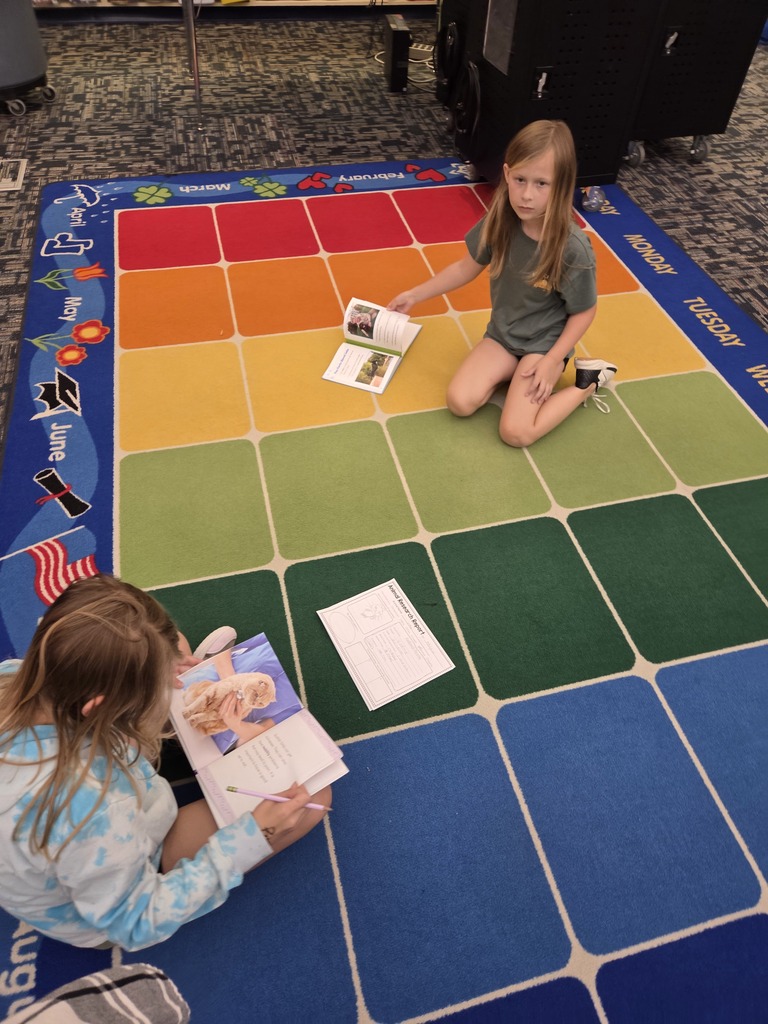 2nd grade projects
