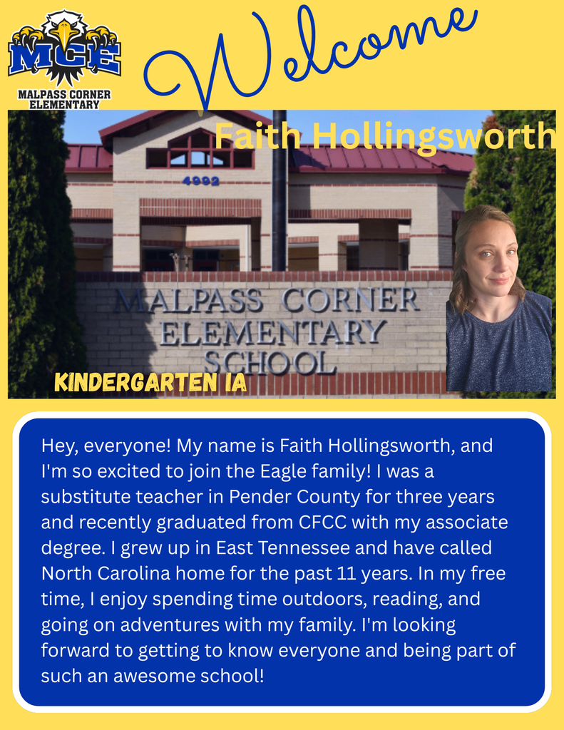 Welcome - Hollingsworth