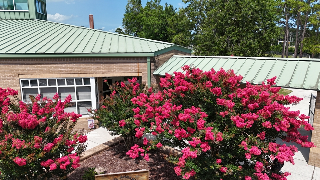 roof work at topsail annandale elementary school