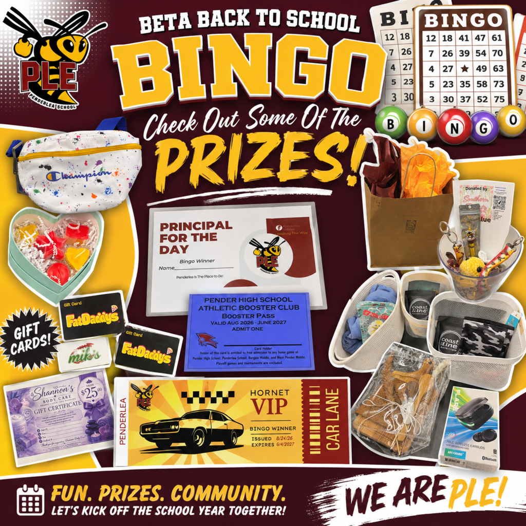 Bingo Night