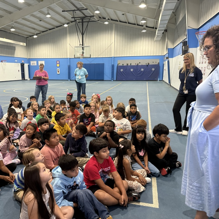 safety assembly
