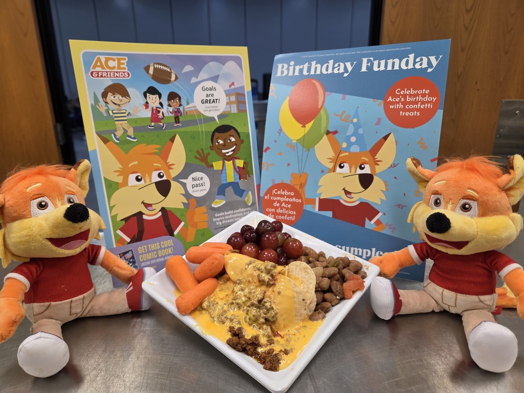 Beef nachos on a display plate with carrots, grapes, and pinto beans
