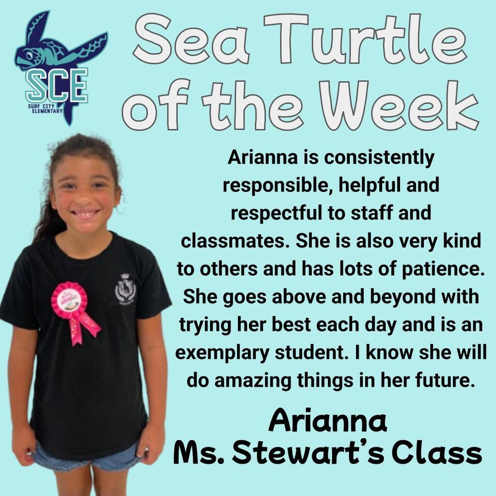 sea turtle of the week