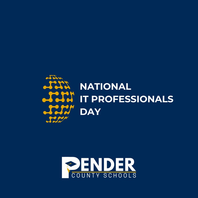 national IT professionals day