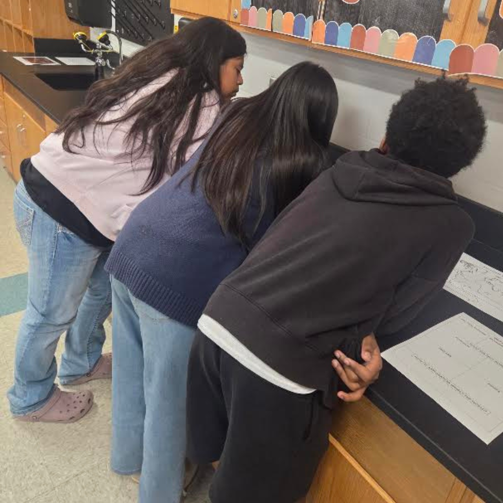 students in social students class on gallery walk