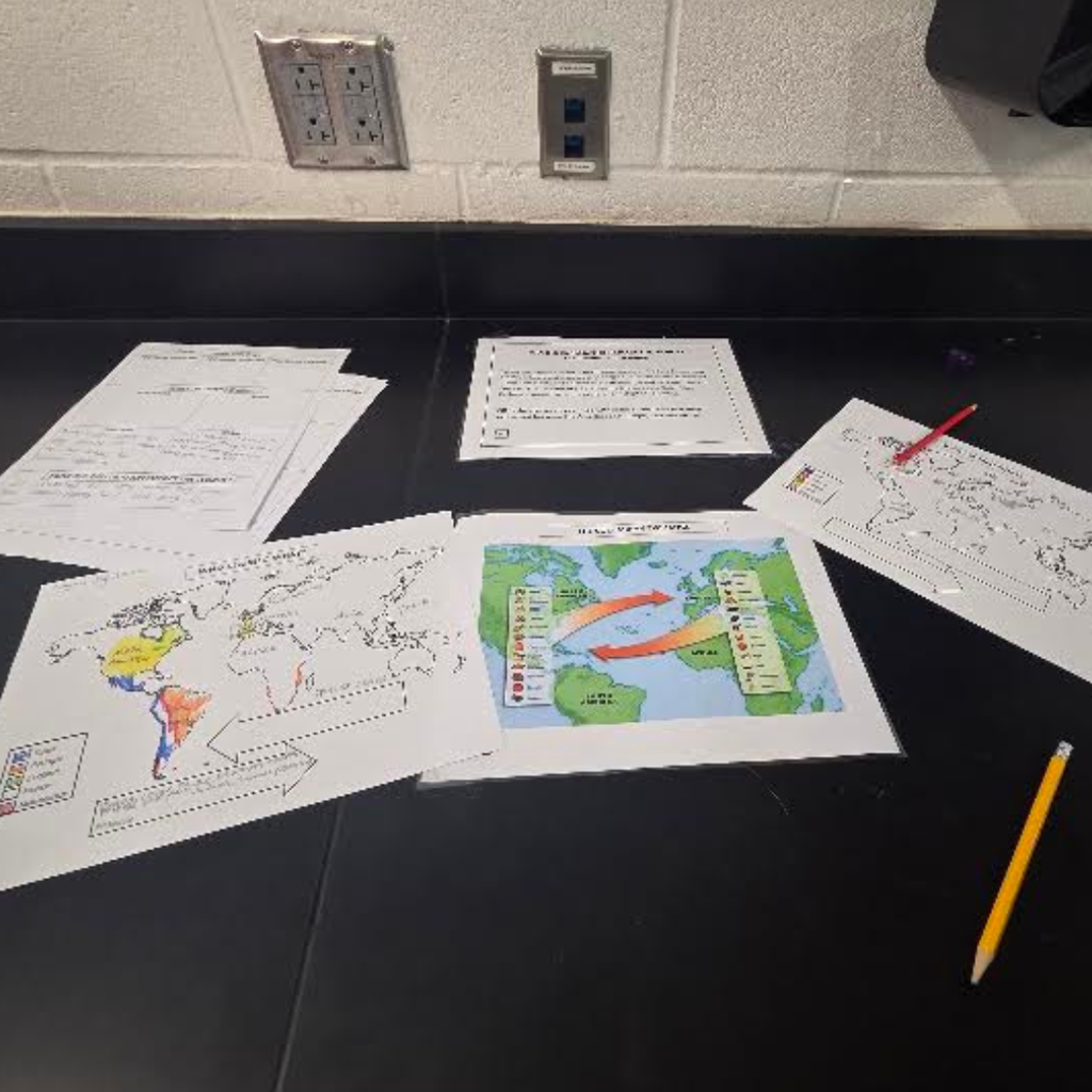 work from gallery walk in social studies class