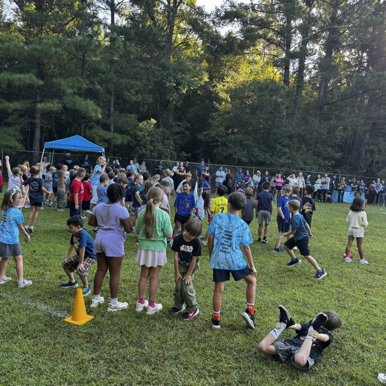 fun run