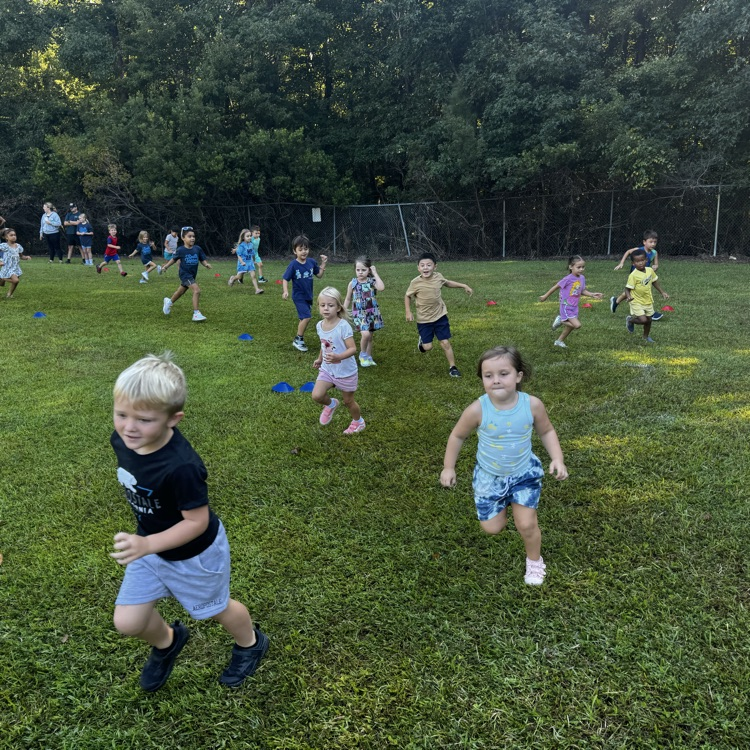 fun run