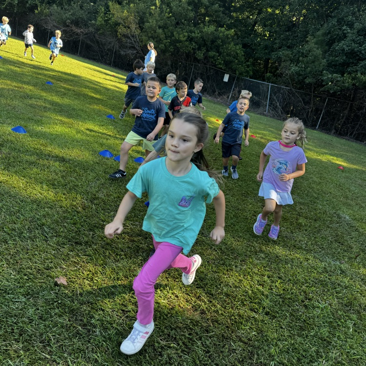 fun run
