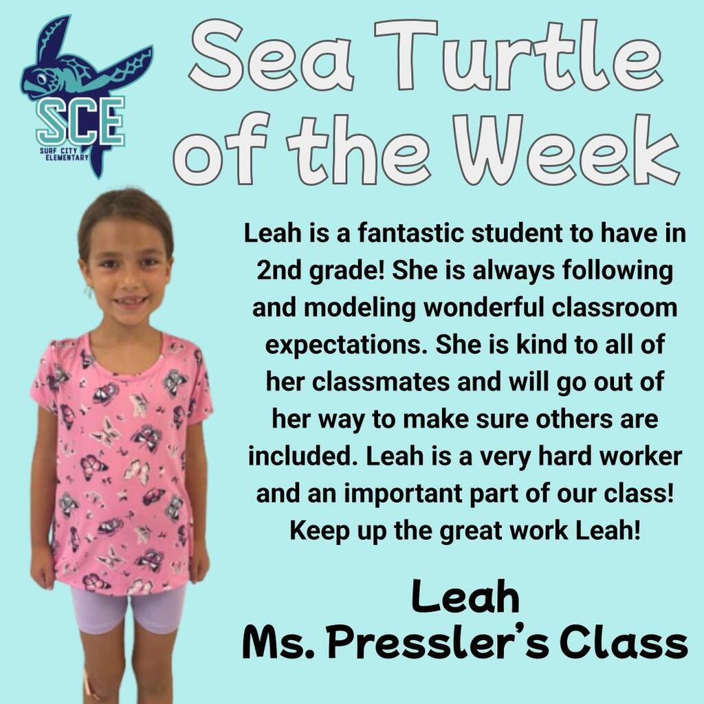 sea turtle of the week