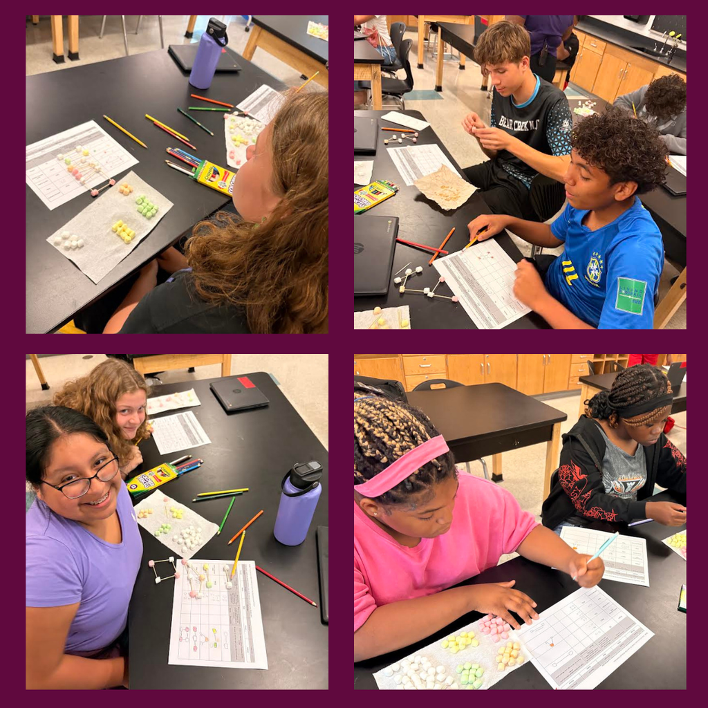students working in science class