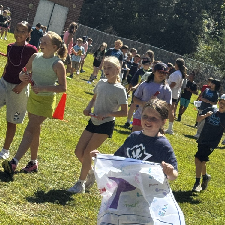 fun run