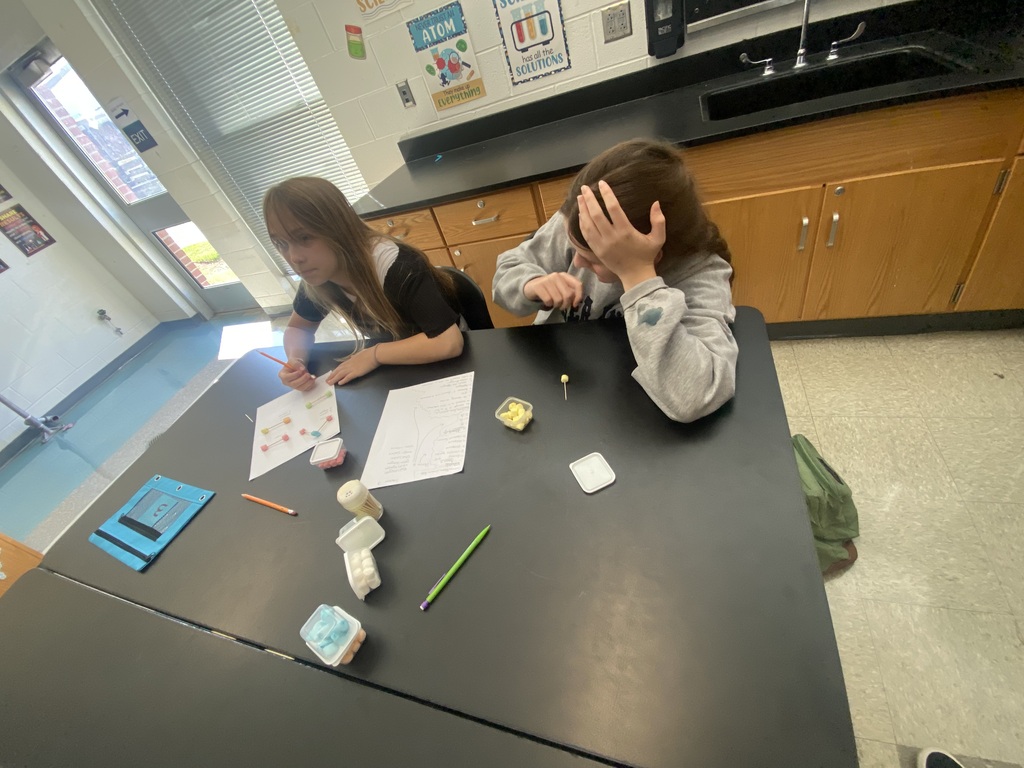 Our students rotated through science stations while reviewing the elements of the periodic table.