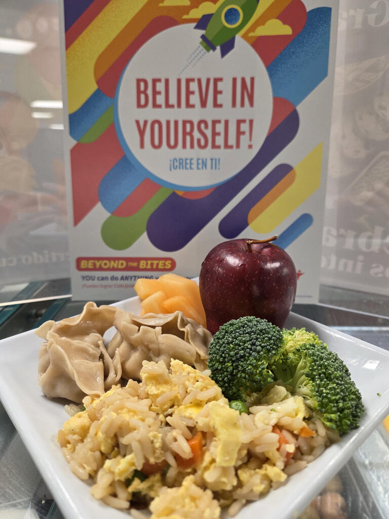 Display plate containing Egg fried rice, dumplings, broccoli, and fresh fruit