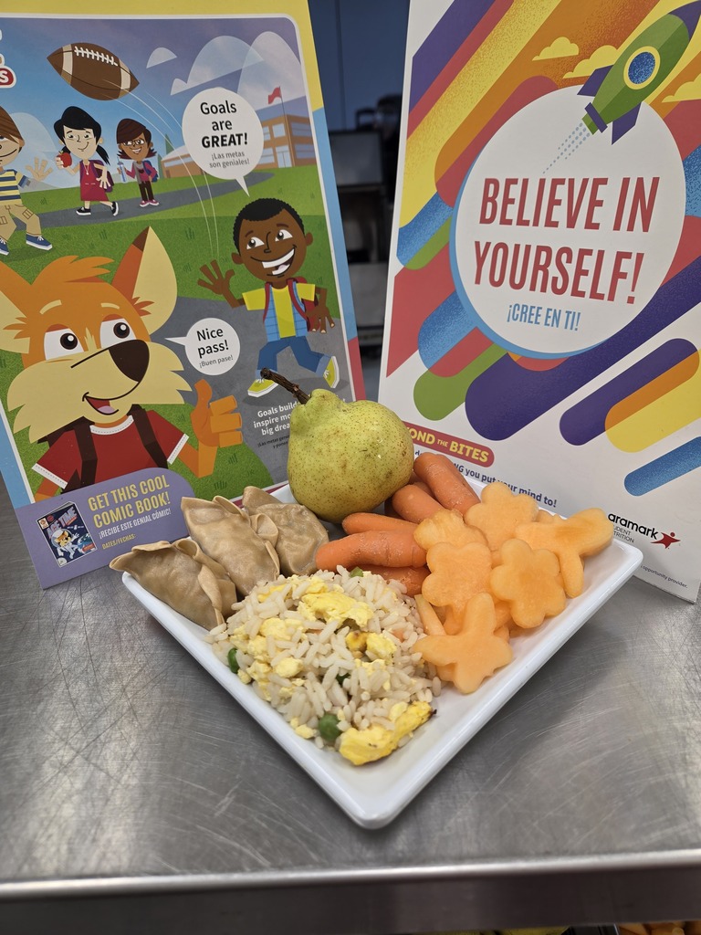 Display plate containing Egg fried rice, dumplings, carrots, and fresh fruit