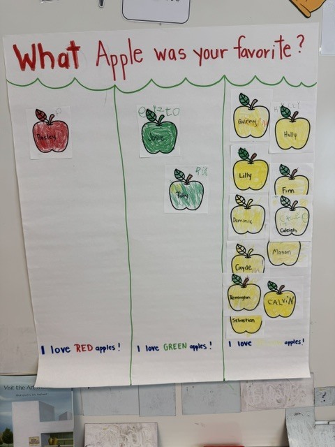 Kindergarten working on apple taste testing graph