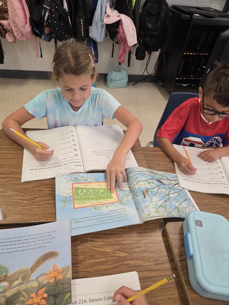 W&W 2nd Grade