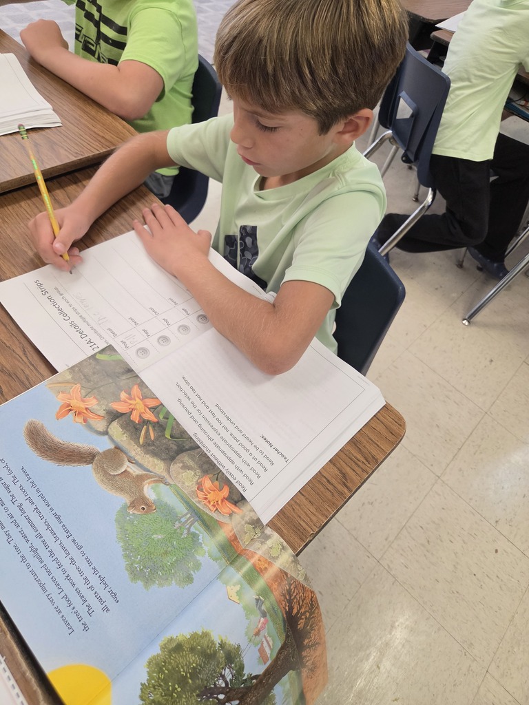 W&W 2nd Grade