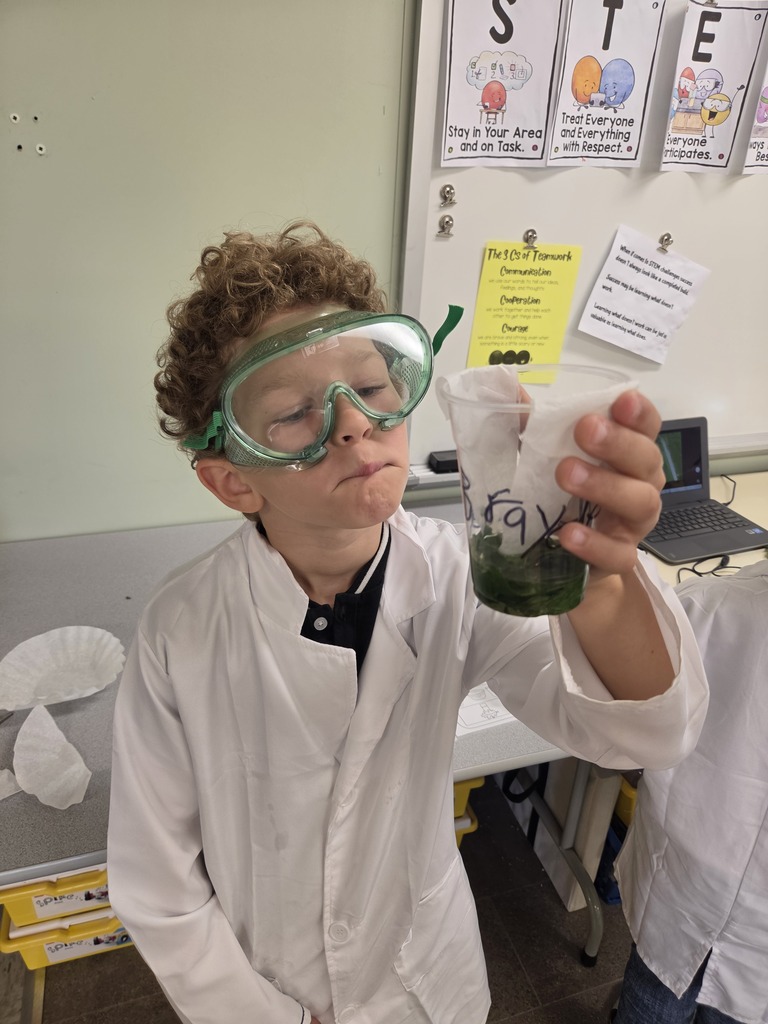 STEM