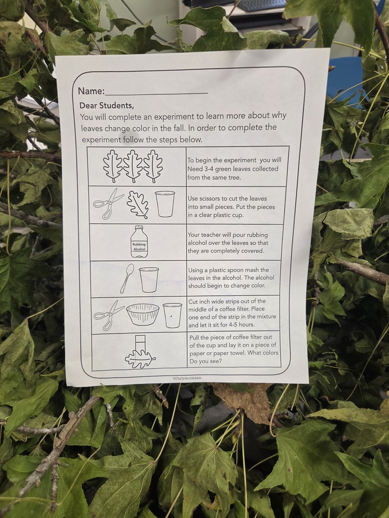 STEM