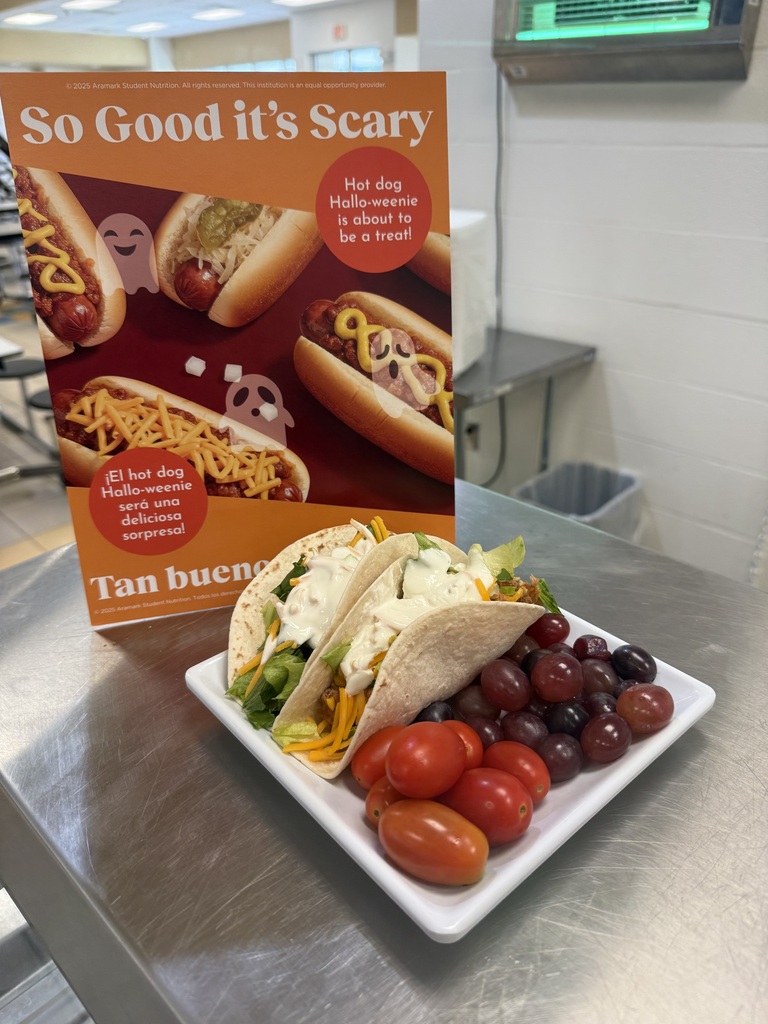 Plate of chicken tacos, tomatoes, and grapes 