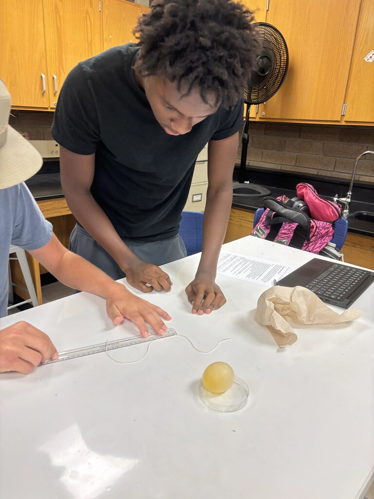 Science experiments