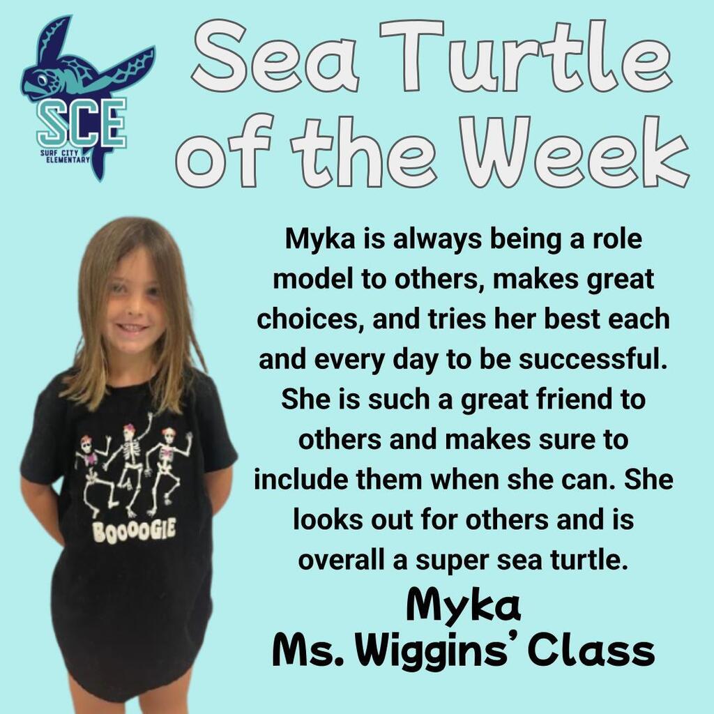 sea turtle of the week