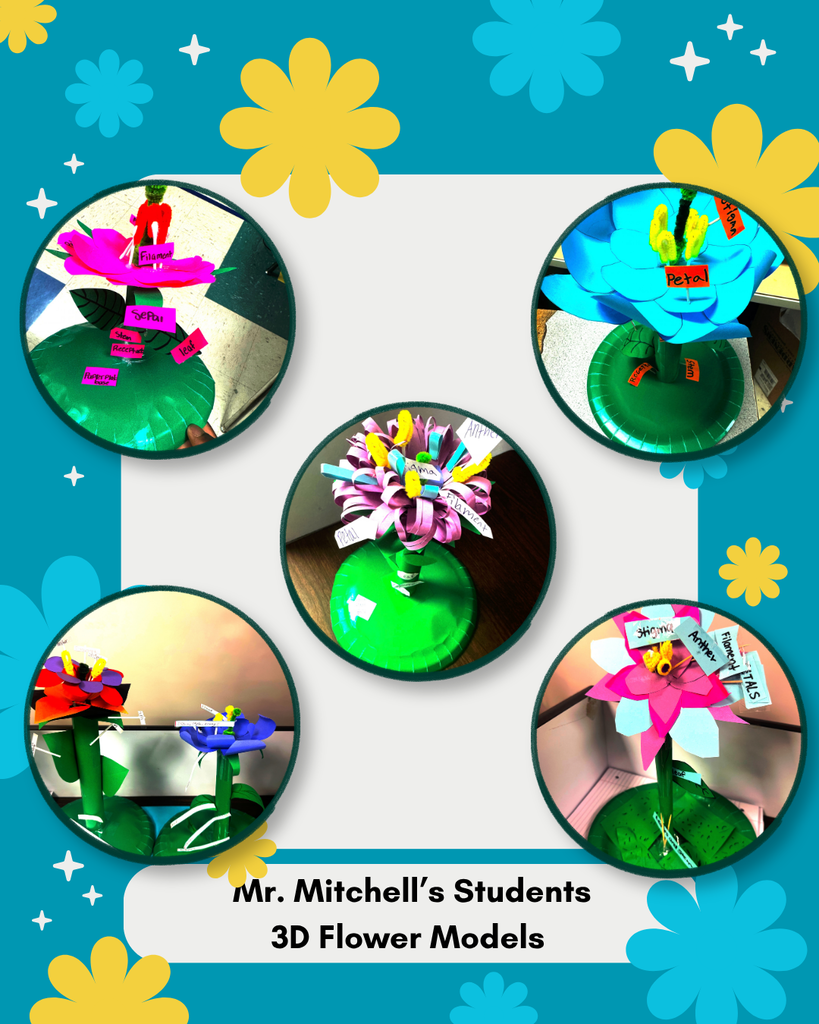 3D models
