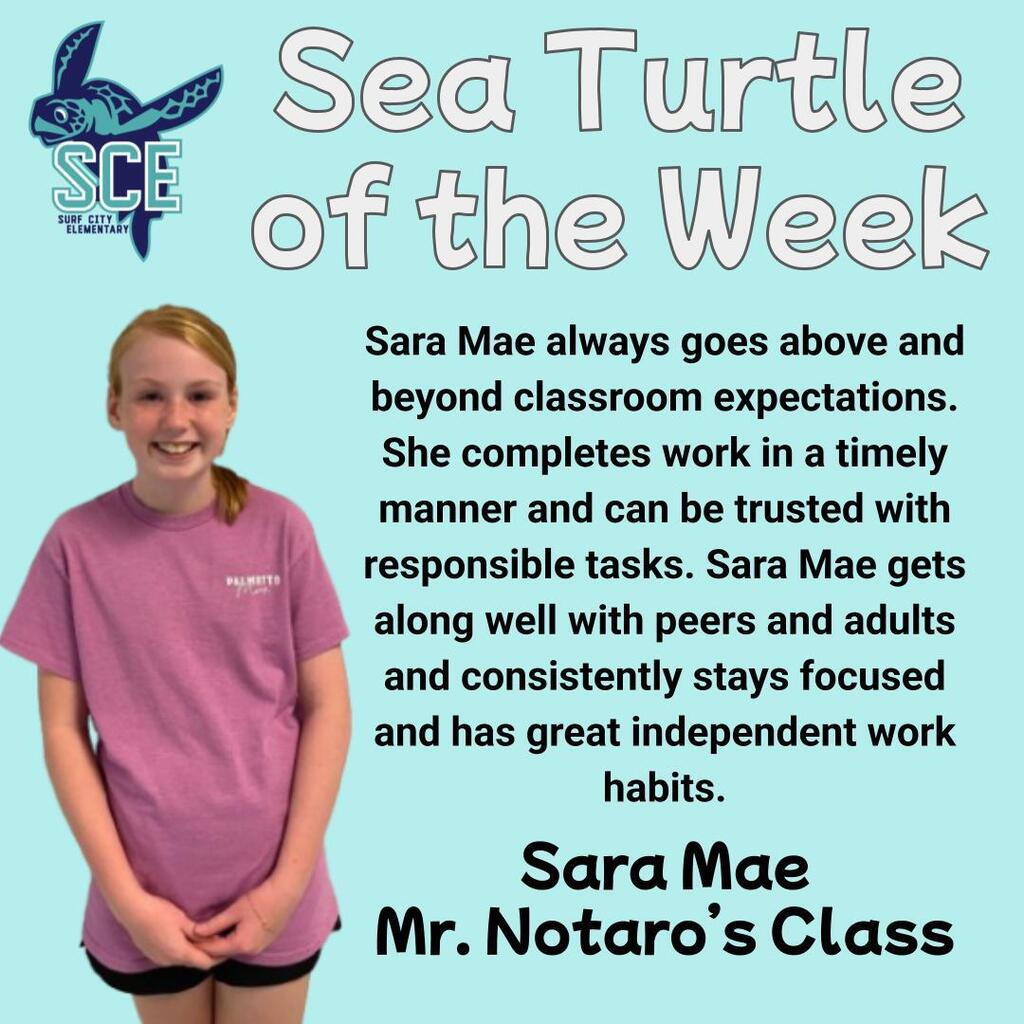 sea turtle of the week